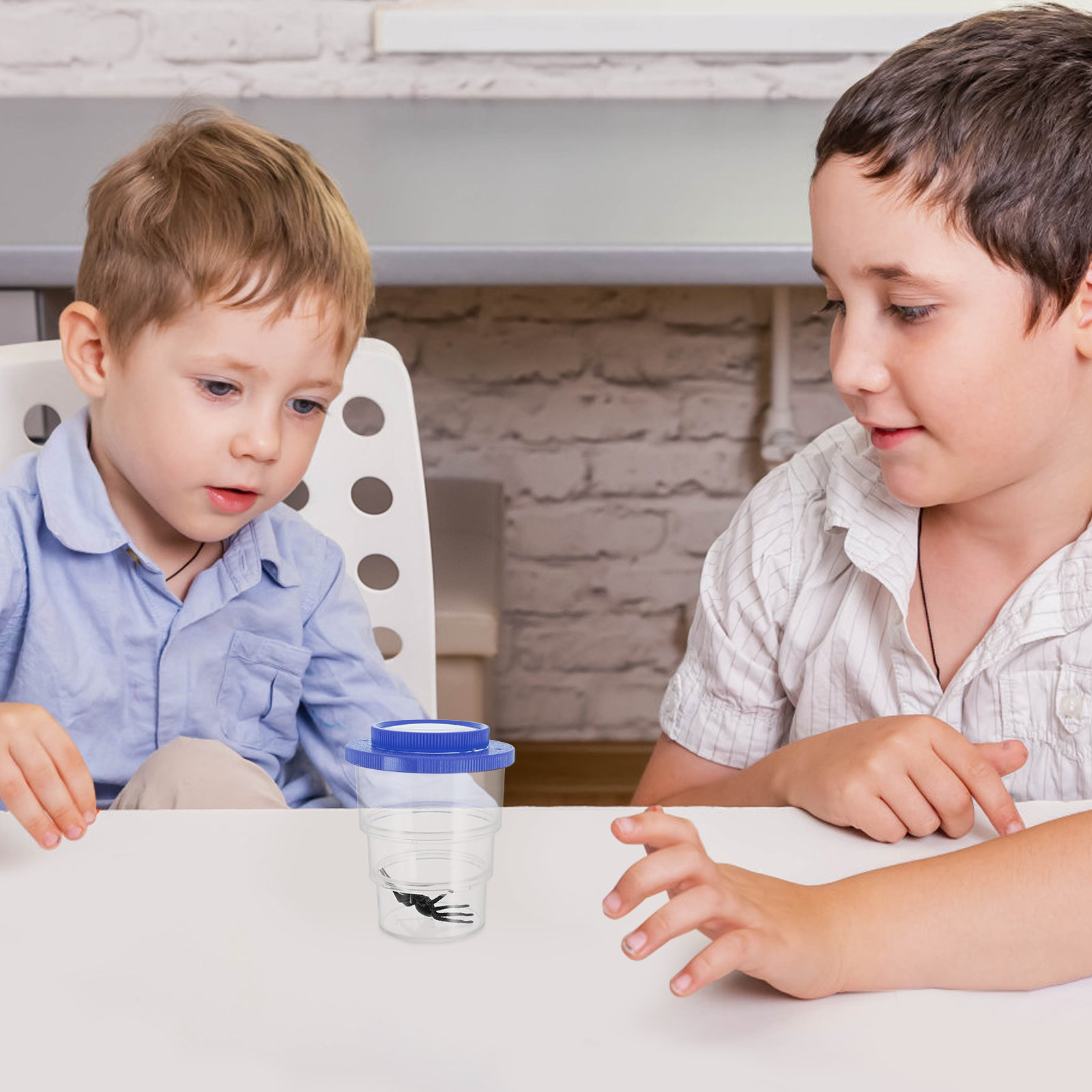 Insectenobservatiebox met drie - Science Toys recensie en prijs