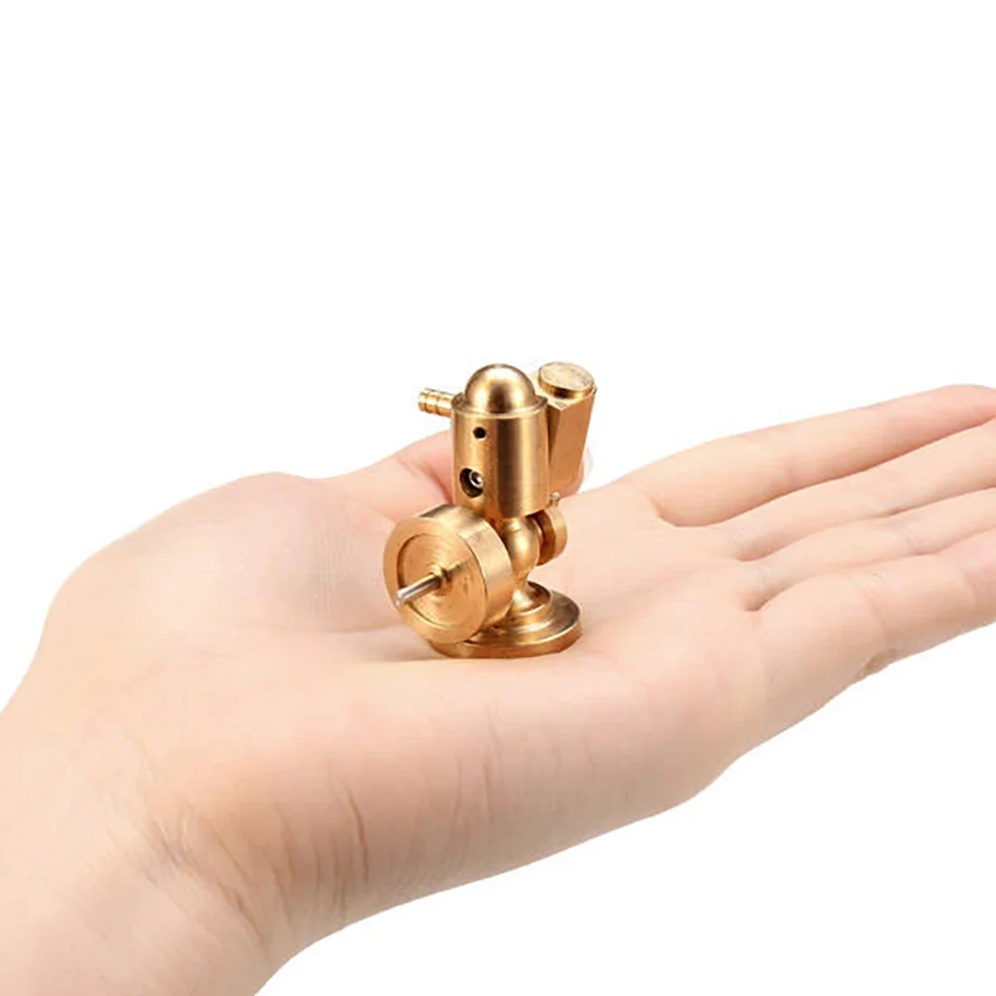 Model Fysische Wetenschap Expe - Science Toys recensie en prijs